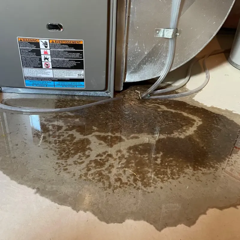 Appliance Leak Cleanup in New Johnsonville, TN